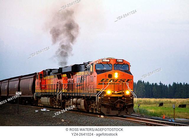 BNSF train at East Babb siding, Cheney, Washington, USA