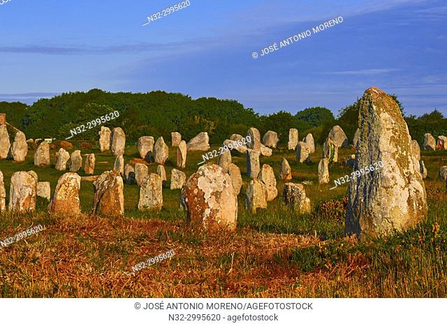 Carnac, Megalithic stones, Megalitic alignments, Morbihan, Bretagne, Brittany, France, Europe