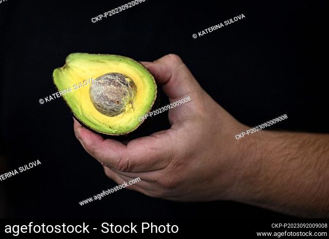 The Titbit company in Uhrineves, Prague, Czech Republic, September 20, 2023. The company ensures the ripening of avocados, mangoes