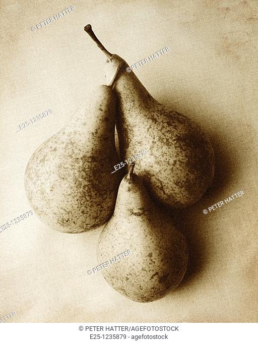 Three pears arranged in a still-life composition in a monotone and textured finish with a grain effect