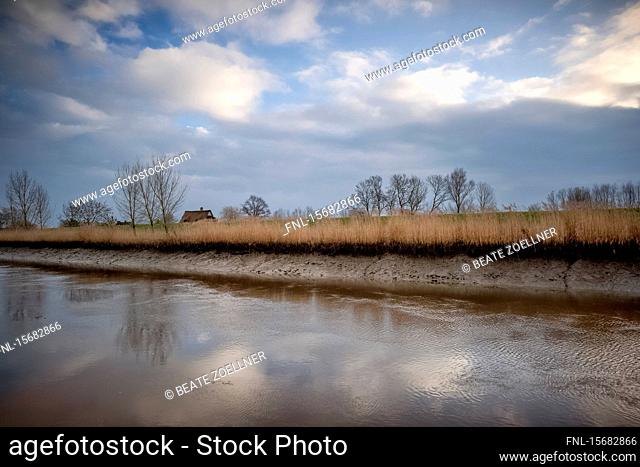 Riverbank of Pinnau, Kreis Pinneberg, Schleswig-Holstein, Germany, Europe