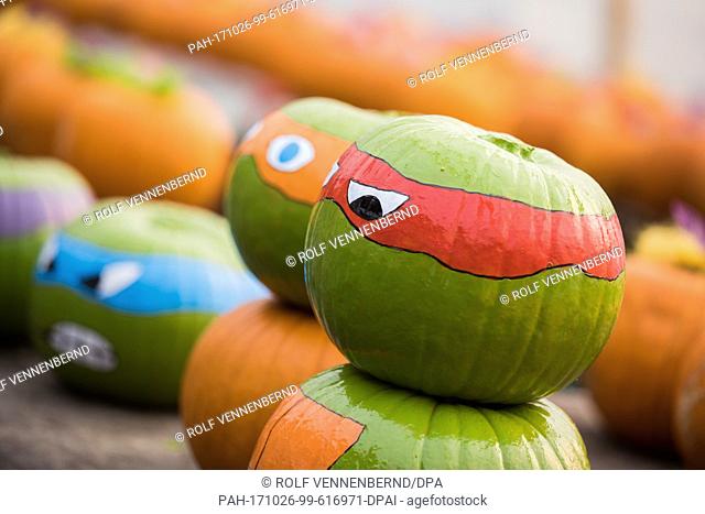 Pumpkins painted in the likeness of the Nija Turtles pictured at Thomas-Haenraets, a pumpkin producer, in Hurth, Germany, 17 October 2017