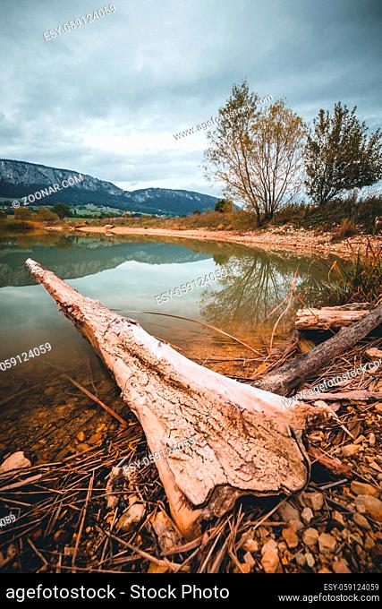 Lonely big tree with reflection, sky with dark clouds in austria