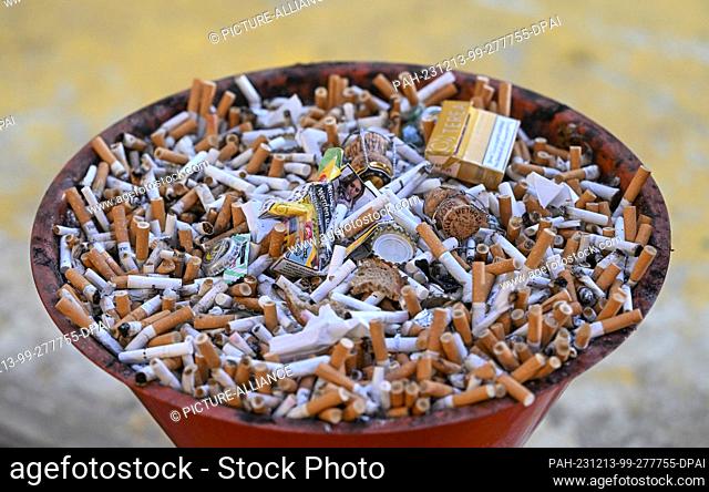 28 November 2023, Berlin: A bowl full of butts and packs of cigarettes. Photo: Jens Kalaene/dpa. - Berlin/Berlin/Germany