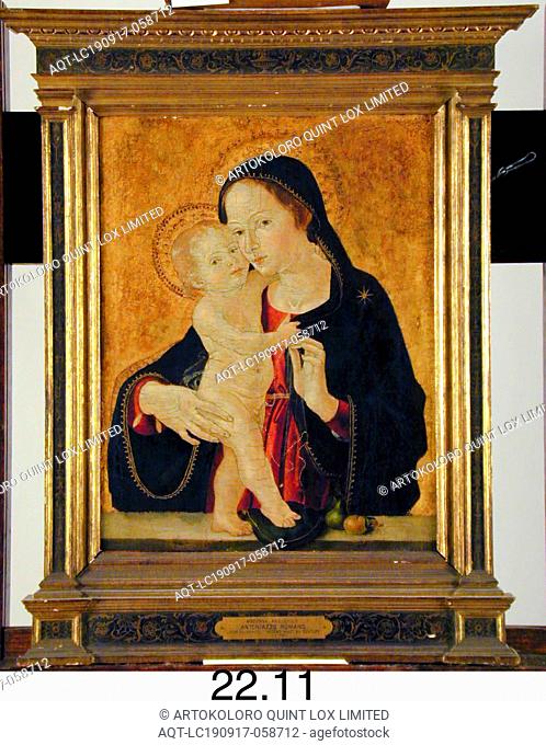 Antoniazzo Romano, Italian, Madonna and Child, 15th Century, Gilt and tempera on wood panel, Unframed: 16 3/8 × 13 3/8 inches (41.6 × 34 cm)