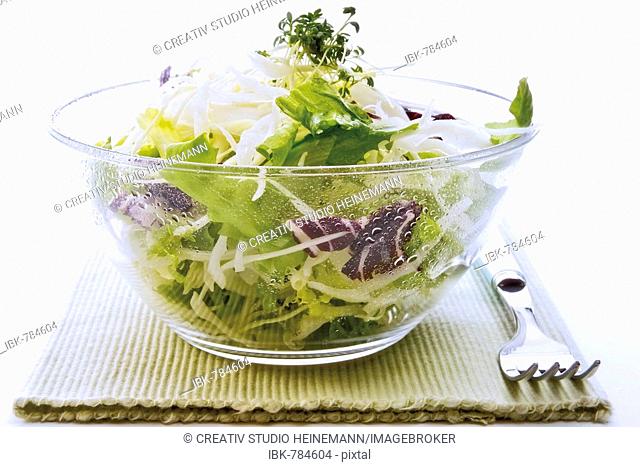Mixed salad of white cabbage, lettuce, radicchio and cress in a glass bowl on a place mat beside a fork