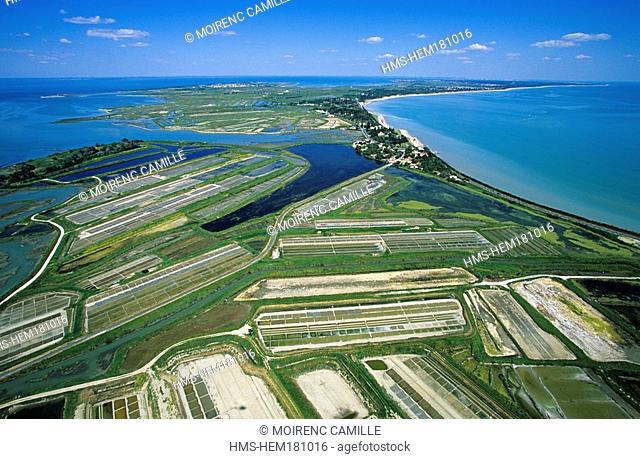 France, Charente Maritime, Ile de Re, coast towards La Couarde aerial view