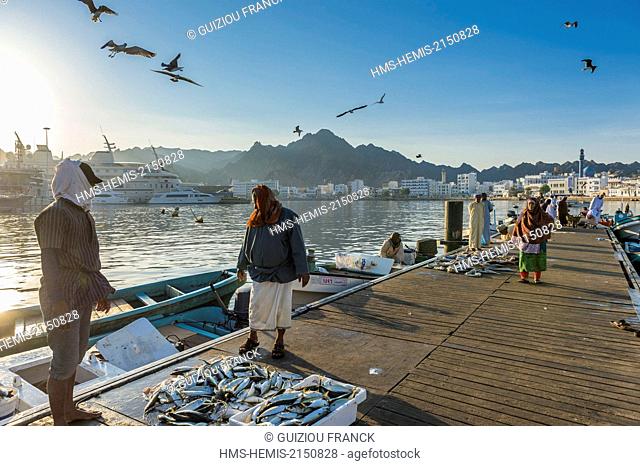 Sultanate of Oman, gouvernorate of Mascate, Muscat (or Mascate), Mutrah (or Matrah) harbour, the fish market