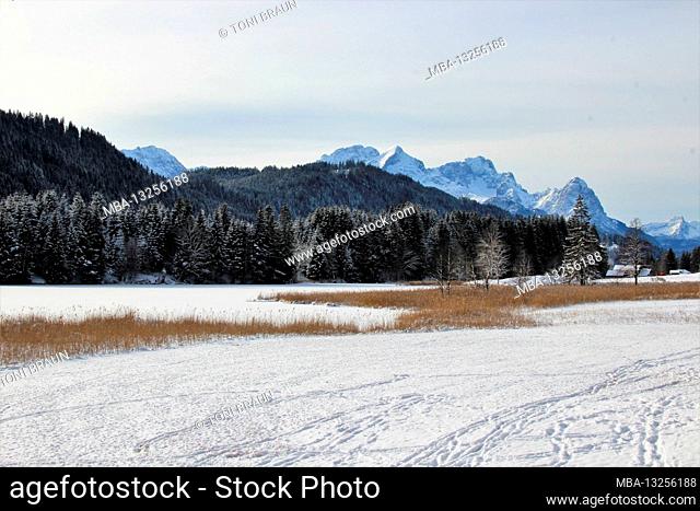 Winter hike near Gerold, near Klais, Europe, Germany, Bavaria, Upper Bavaria, Werdenfels, winter, tracks in the snow, Geroldsee in the background the Zugspitze