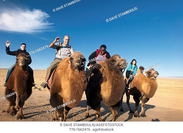 tourists riding twin humped Bactrian camels in the Gobi Desert of Mongolia
