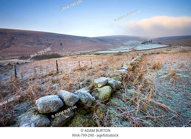 Frost covered moorland landscape near Challacombe Down, Dartmoor National Park, Devon, England, United Kingdom, Europe