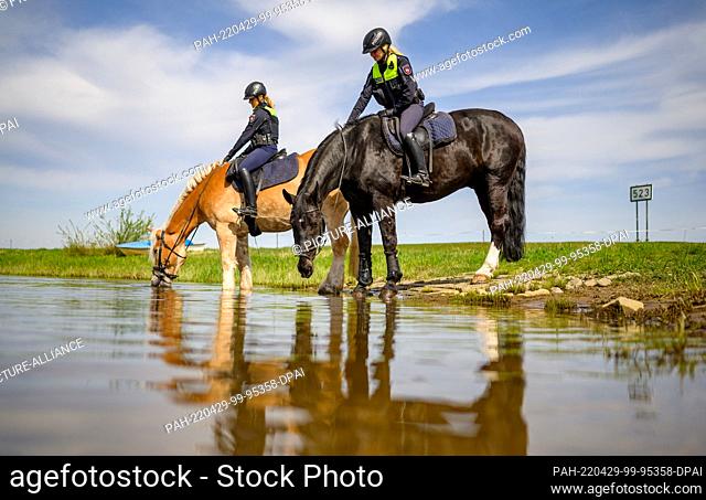 29 April 2022, Lower Saxony, Herrenhof: Police officers Anne Schloßer (l) on Quintus and Theresa Kieneke on Fokus take a break for their service horses on the...