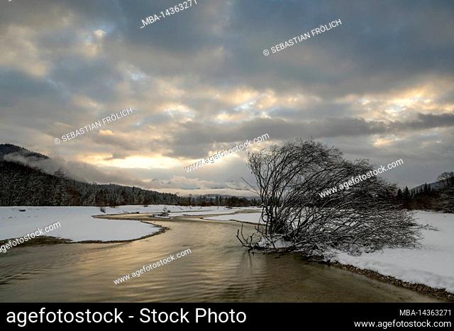The streambed of the Isar with residual water flow through the power plant above in winter with snow and sunset. A large willow on the bank in the snow