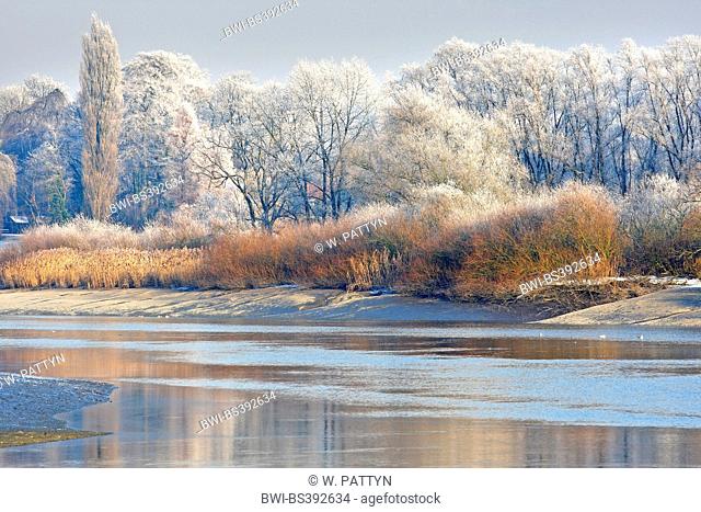 winter landscape along river Scheldt, Belgium