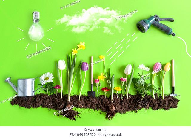 Spring flower bed garden with clouds, light bulb as the sun, and hose pipe with a sketch of water being sprayed