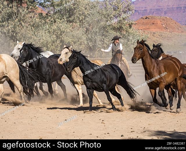 Lariat in hand, a cowgirl wrangler drives a herd of horses out of the corral at the Red Cliffs Ranch near Moab, Utah