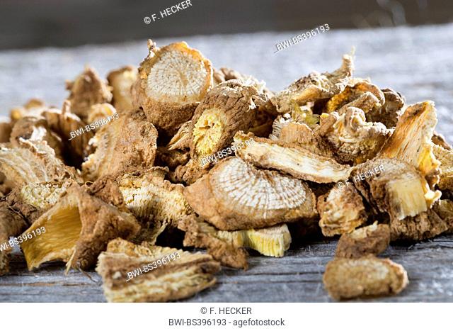 Bouncingbet, Bouncing-bet, Soapwort (Saponaria officinalis), dried roots , Germany