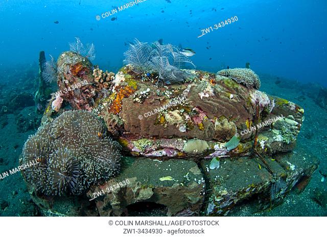 Reclining Buddha statue on sea bed with False Clown Anemonefish (Amphiprion ocellaris, Pomacentridae Family) in Magnificent Sea Anemone (Heteractis magnifica
