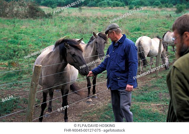 Reserves Prince Philip feeding grass to Konik Horse at Redgrave & Lopham Fen, Suffolk