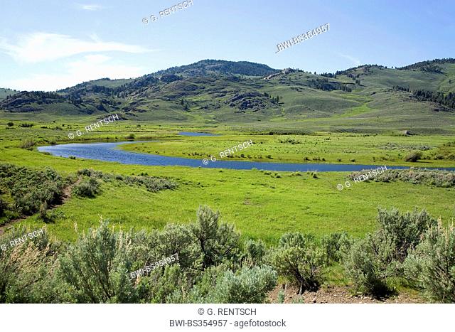 Lamar Valley, USA, Wyoming, Yellowstone National Park