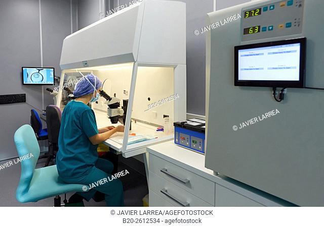 Embryology, ARU, Assisted Reproduction Unit, IVF, In Vitro Fertilization, Intra Cytoplasmic Sperm Injection, Hospital, Donostia, San Sebastian, Gipuzkoa
