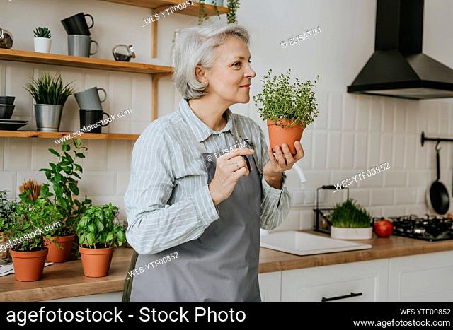 Mature woman smelling thyme plant in kitchen at home