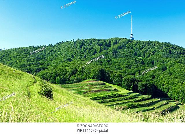 Mt. Totenkopf with telecommunciations tower
