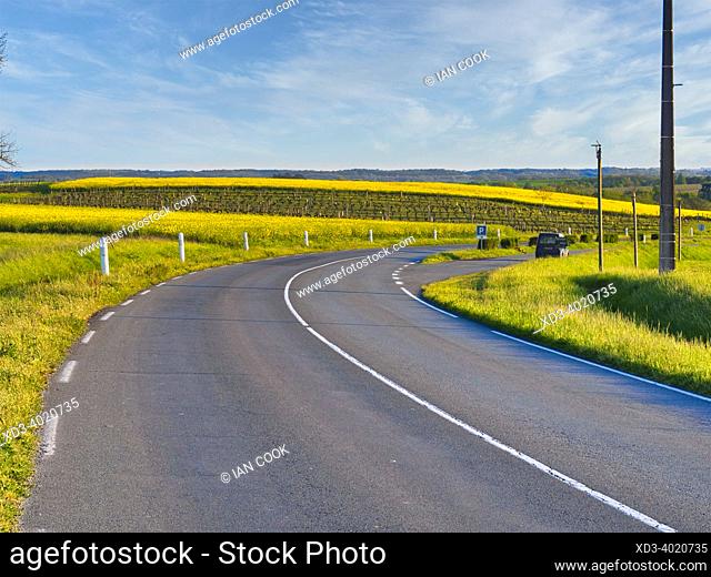Highway D933 with rapeseed fields near Eymet, Dordogne Department, Nouvelle-Aquitaine, France