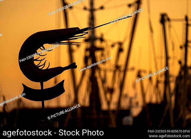 PRODUCTION - 14 February 2023, Lower Saxony, Greetsiel: A sign with the figure of a crab stands out against the sunset. The focus of the Fisheries Day 2023 of...