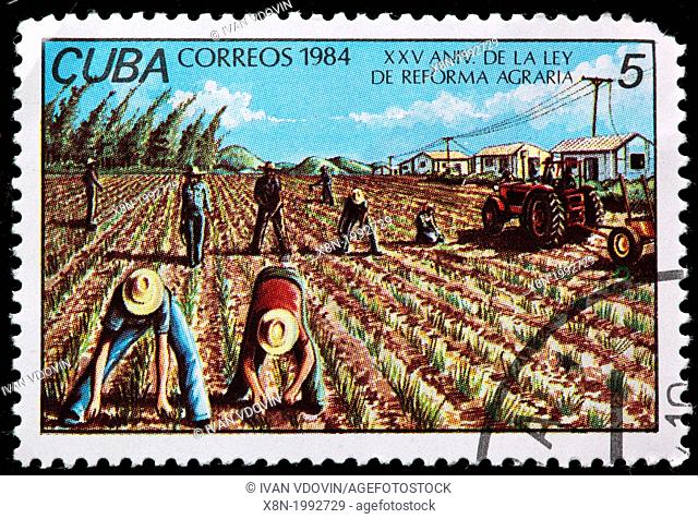 Agriculture, postage stamp, Cuba, 1984