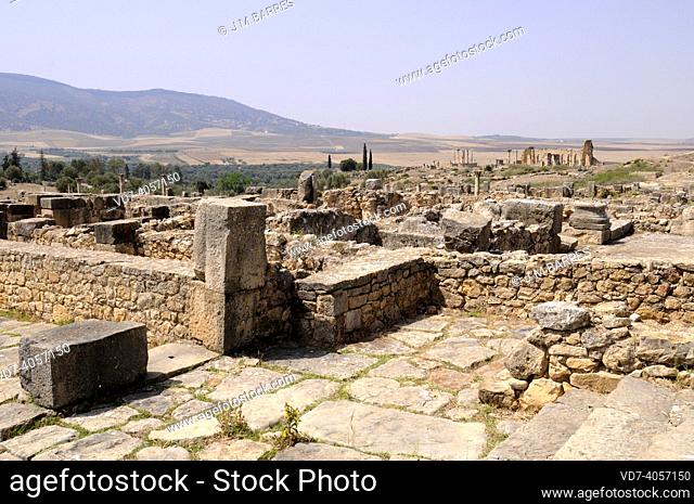 Volubilis, Berber and Roman city (from 3th century BC to 11th century AC), World Heritage Site. Meknes, Morocco