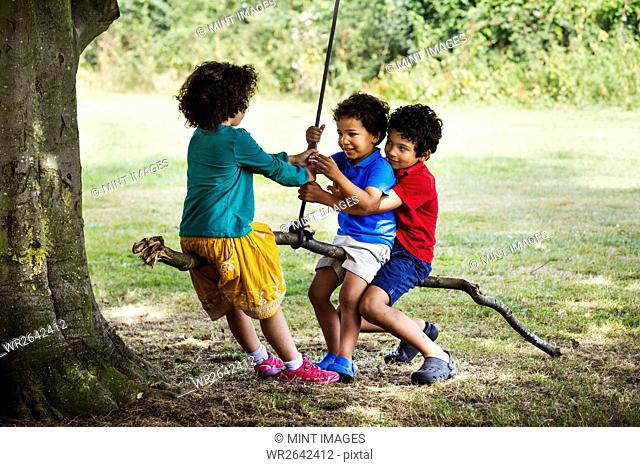 Two boys and a girl sitting on a tree swing