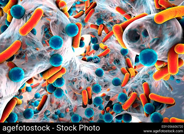 Biofilm of antibiotic resistant bacteria, closeup view. Rod-shap