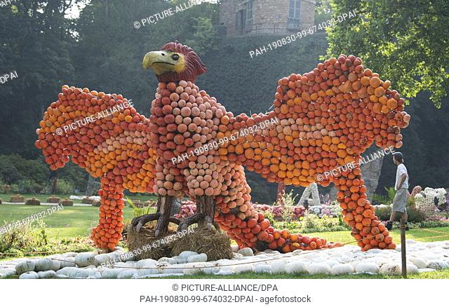 30 August 2019, Baden-Wuerttemberg, Ludwigsburg: At the 20th Pumpkin Exhibition in the park of the Residenzschloss, a man walks past a figure of a phoenix made...
