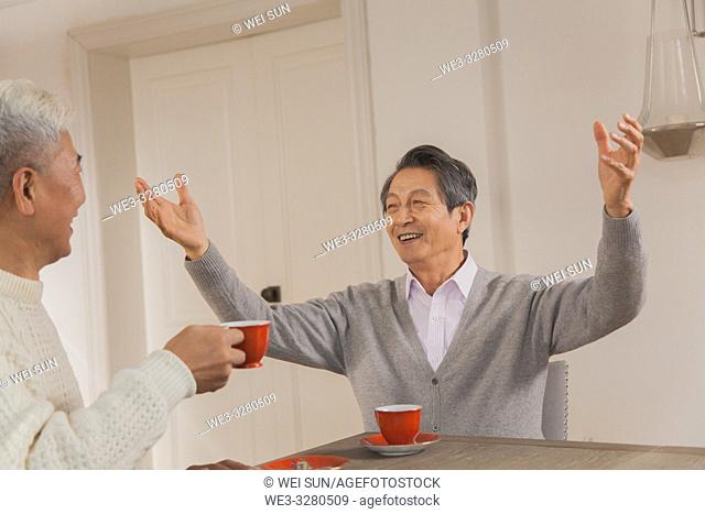 Two senior friends, chatting happily, Chinese ethnicity