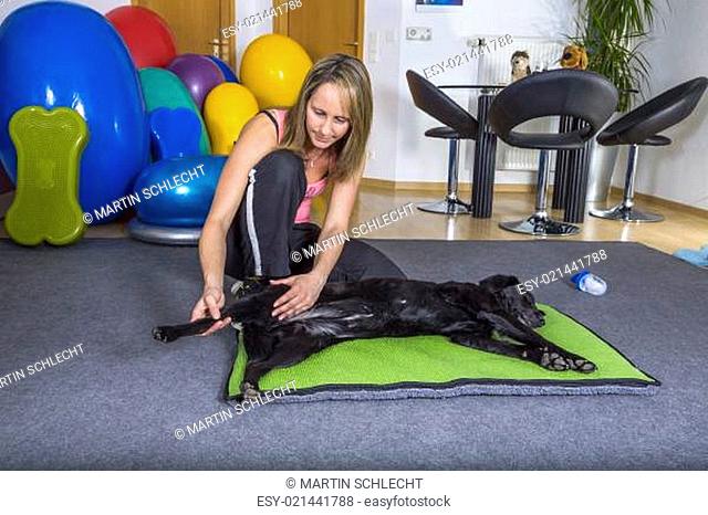 woman in manual therapy with a dog