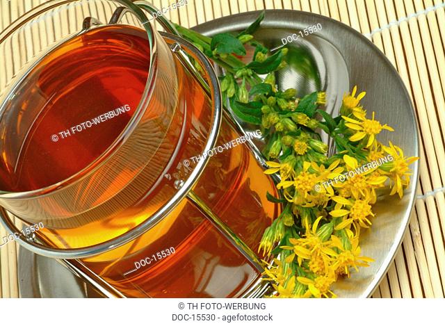 Golden rod - Solidago virgaurea - medicinal tea - medicinal plant - herbtea - te - infuso - tisana -