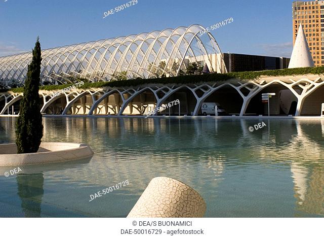 Spain - Valencia. City of Arts and Science (Ciudad de las Artes y las Ciencias). Walkway access to complex arboretum 'Umbracle'