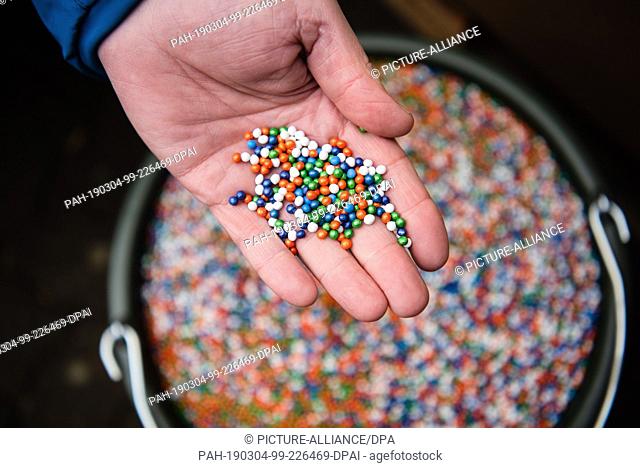 01 March 2019, Bavaria, Kürnach: A man is holding seeds from various manufacturers in his hands, which still contain the neonicotinoids banned in 2018