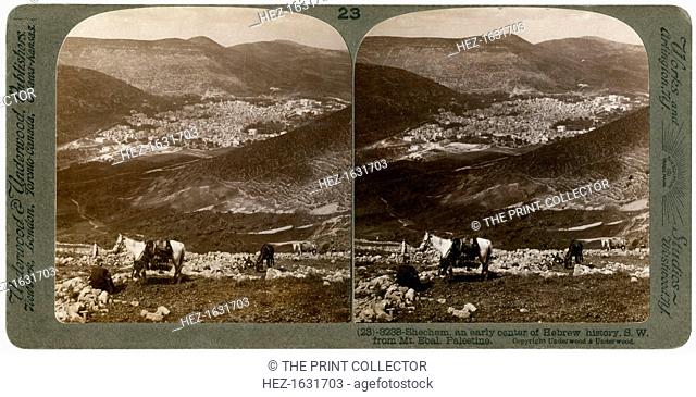 Shechem, south-west from Mount Ebal, Palestine, 1900s. Stereoscopic slide. From a series called Travelling in the Holy Land Through the Stereoscope