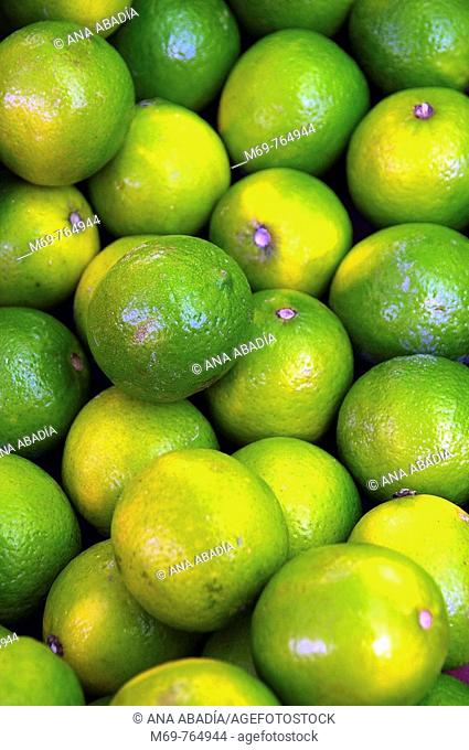 Limes for sale at market, Santanyi. Majorca, Balearic Islands, Spain