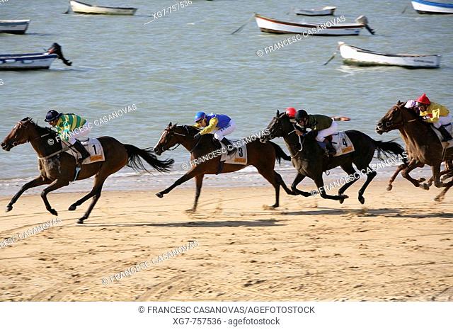 Horse race on beach, Sanlucar de Barrameda. Cadiz province, Andalucia, Spain