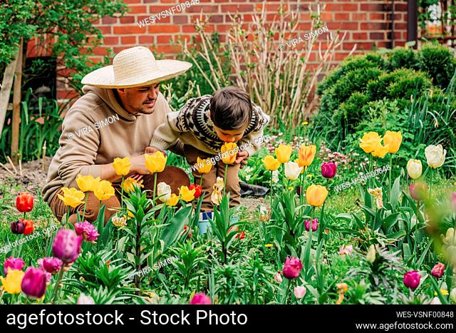 Son smelling tulips by father in garden