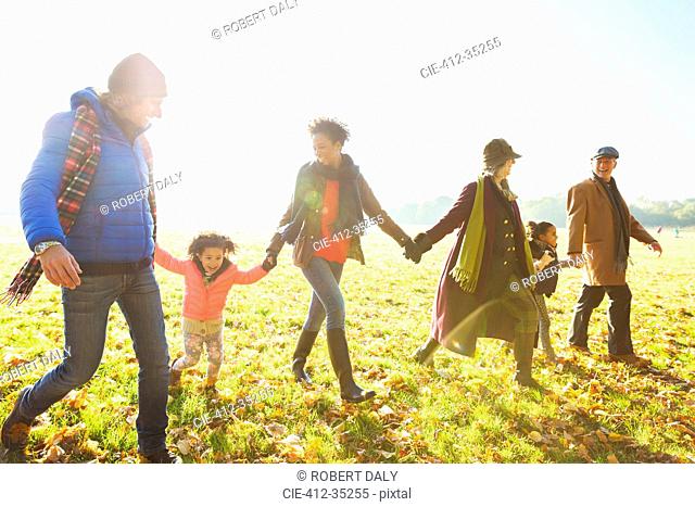 Family holding hands walking in sunny autumn park