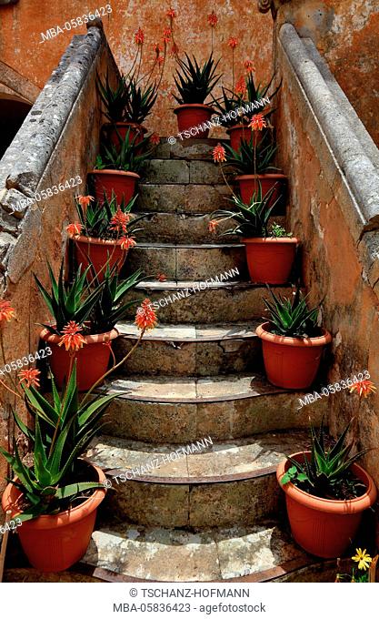 Crete, peninsula Akrotiri, Moni Agada Triada, cloister of the Holy Trinity, stairs in the inner courtyard with flowerpots