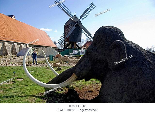 mammouth (Mammuthus spec.), mammoth in Eiszeigarten in museum Salder Castel with tourist and wind mill in the background, Germany, Lower Saxony