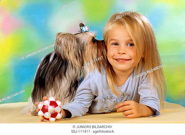 yorkshire terrier kissing girl