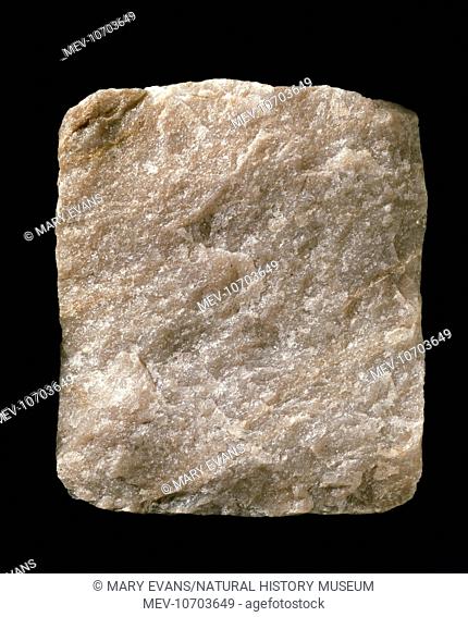 A piece of Cambrian quartzite from Sleat, Isle of Skye. Quartzite consists of quartz sandstone that has recrystallized under metamorphic processe