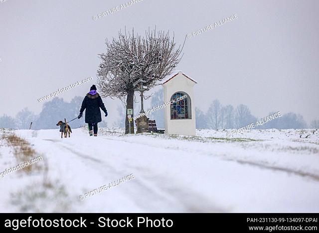 30 November 2023, Baden-Württemberg, Dürmentingen: A woman walks her dog in the snow Photo: Thomas Warnack/dpa. - Dürmentingen/Baden-Württemberg/Germany