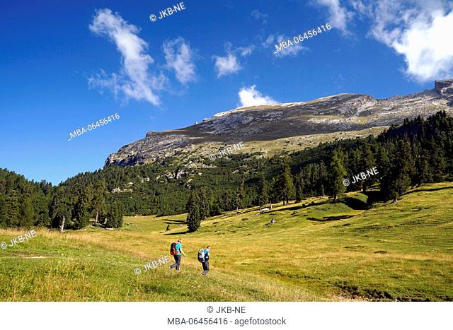 Europe, Italy, South Tirol, Pragser Dolomiten / Dolomiti di Braies (mountains), Plätzwiese, Dürrenstein (mountain), 2839 m